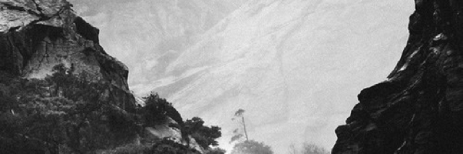 Cover image for post Virulent Lure., by raininwinters