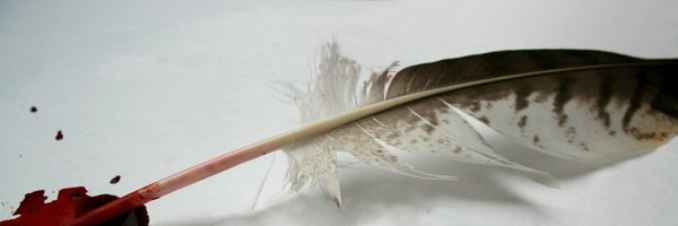 Cover image for post Writing is Destiny, by dLYNX