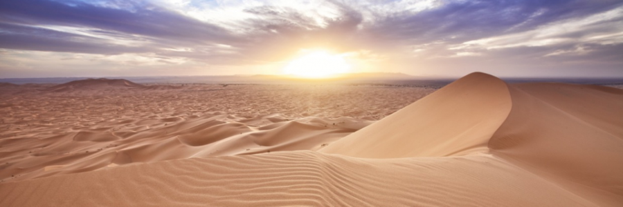 Cover image for post I wonder, by The_N