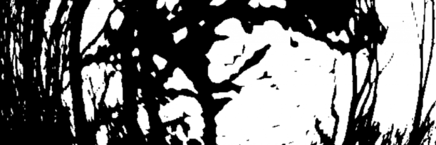 Cover image for post Untitled, by RealSherryLS