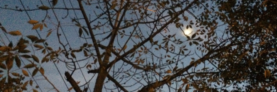 Cover image for post Plunged Existence, by thethinkingsoul