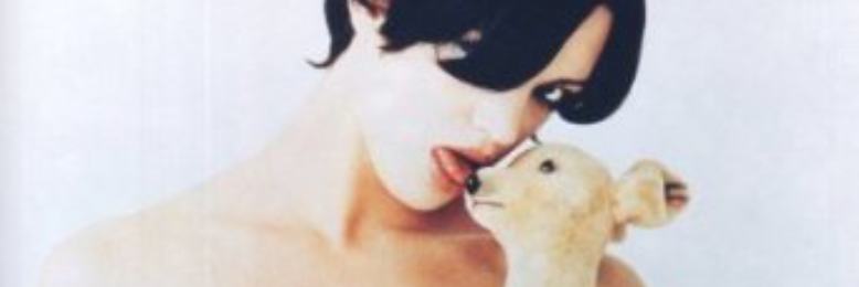 Cover image for post Like Angels in the Sky, by Bunny