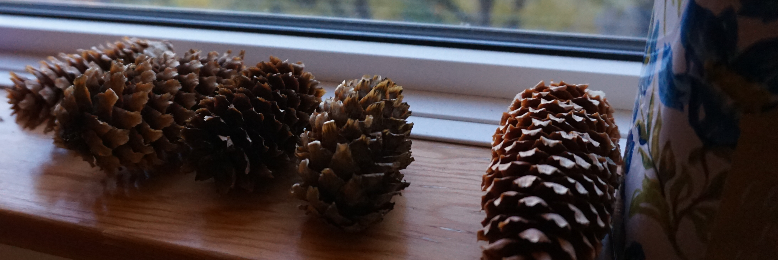 Cover image for post goodbyes, by katherholt