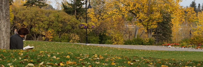 Cover image for post subjective, by katherholt