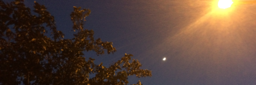 Cover image for post Isolation, by thethinkingsoul