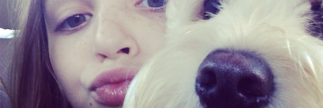 Cover image for post My pup, by julieangevine