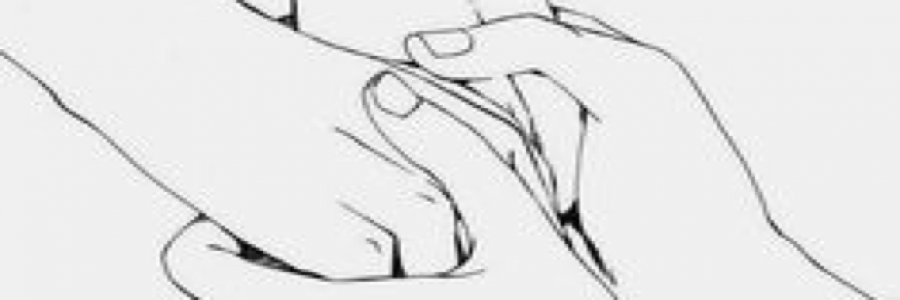 Cover image for post Untitled, by Lizzosaurus