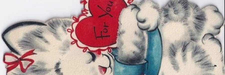 Cover image for post Carnation carnival ....., by xlachrymose