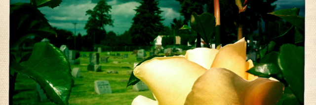 Cover image for post Tonight you drink., by JeffStewart