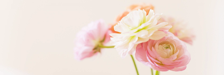 Cover image for post prerequisite, by amoureux