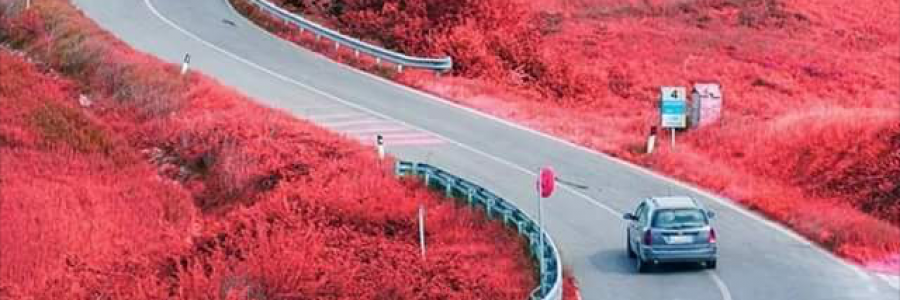 Cover image for post Society, by thethinkingsoul