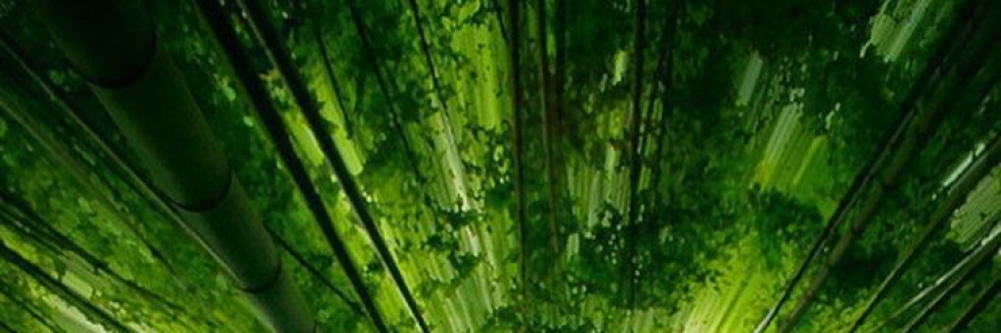 Cover image for post Auribus Teneo Lupum, by nnrsarr