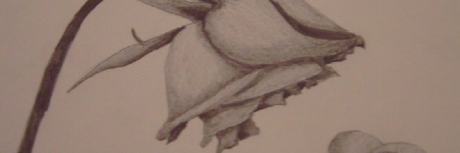 Cover image for post Dear Self..., by Blossom17