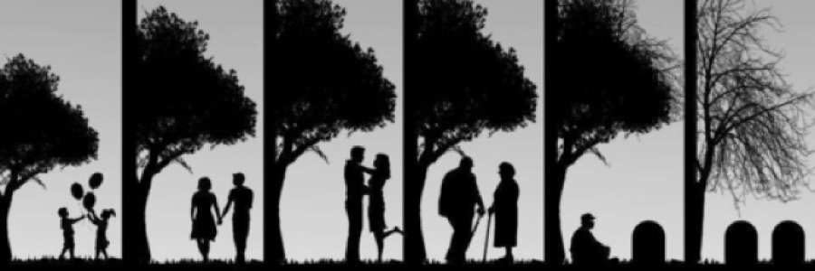 Cover image for post Angel of Death, by HJ