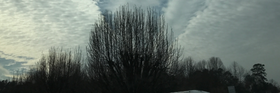 Cover image for post Ill gains (a pantoum), by RealSherryLS