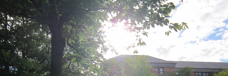 Cover image for post Another Summer Day, by jojama