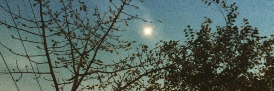 Cover image for post I Need You, by thethinkingsoul