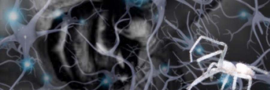 Cover image for post White Reclused, by Mathew