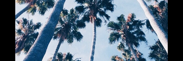 Cover image for post Forward March, by KOY