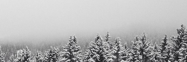 Cover image for post Untitled, by Go