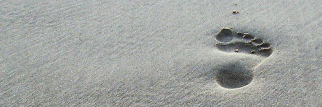 Cover image for post Hero, by chimera