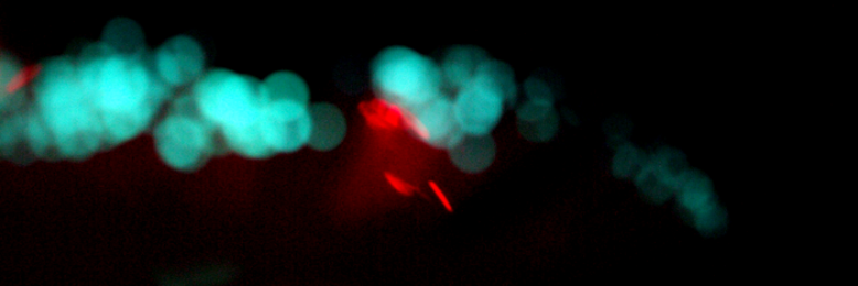 Cover image for post In the Blink of an Eye (Part II), by MEsolushospes