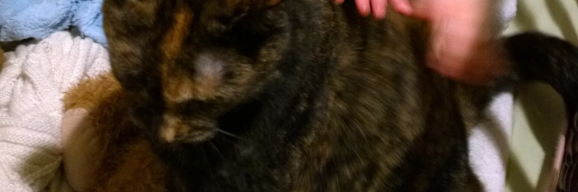 Cover image for post Mimi, by JaimeMathis