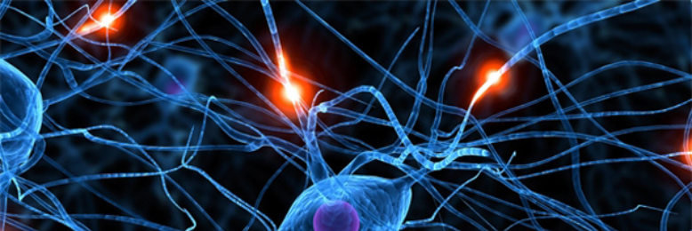 Cover image for post Genius at Risk, by JPhilip