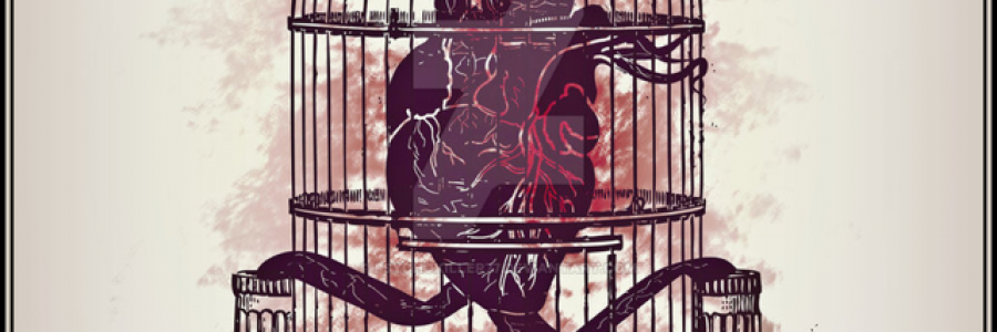 Cover image for post Happiness No Further, by noon2009