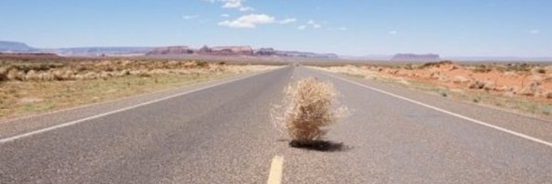 Cover image for post Isolated, by HazardRabbit