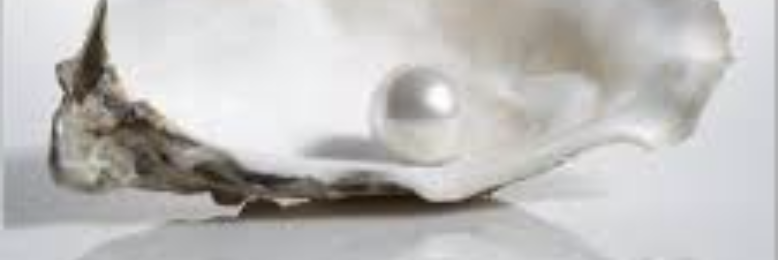 Cover image for post Word Pearls, by sandflea68