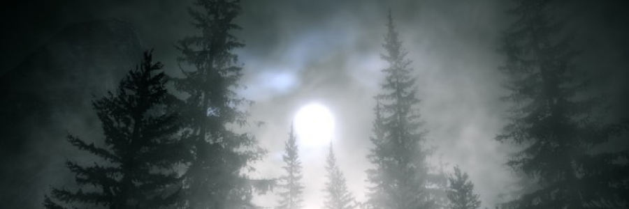 Cover image for post Moonlight, by 17