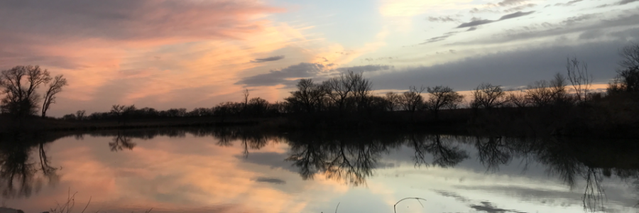 Cover image for post Sunrise, by Autumnpath