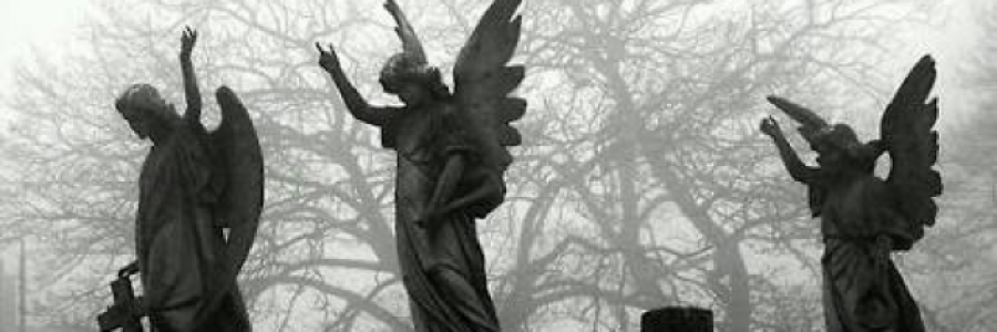 Cover image for post Hell's angel, by stardusts