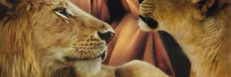 Cover image for post Lion´s pit, by Tyla