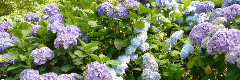 Cover image for post Spectrum, by Jasper