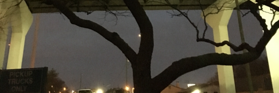 Cover image for post Hugging Stones (and the Reason of Poetry), by Betzahel