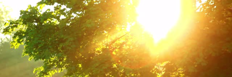 Cover image for post A Humble Attempt, by BrandonDumas