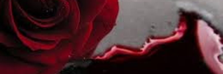 Cover image for post Lost Garden, by sandflea68