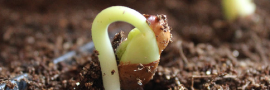 Cover image for post Arrival, by Betzahel