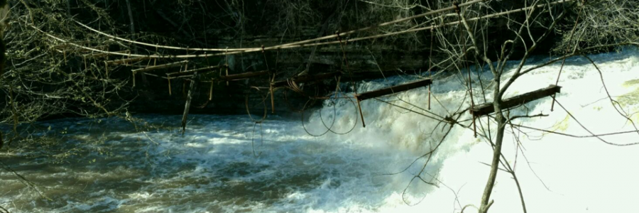 Cover image for post Torn Between Two Worlds, by Lish