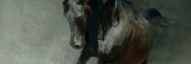 Cover image for post Barriers, by staceeBayles13