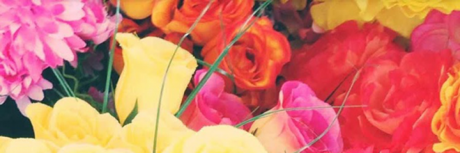 Cover image for post Smiling Endlessly, by HaruHaru