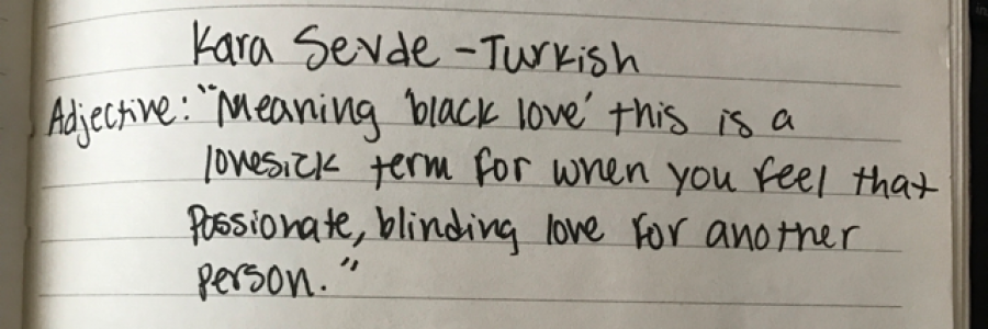 Cover image for post Kara Sevde, by mags