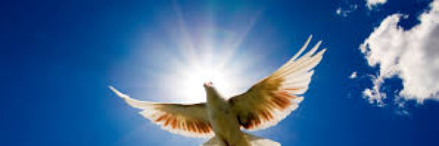 Cover image for post Riding the Breeze, by chimera