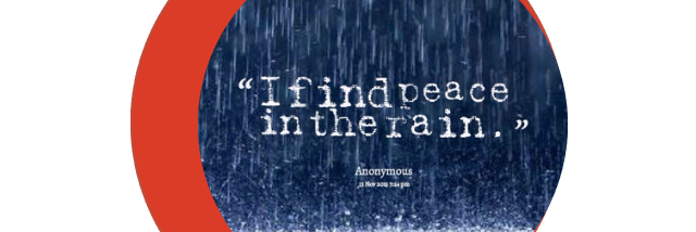 Cover image for post Be(e) Stellar, by Schrieben_Wulf