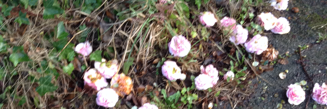 Cover image for post Untitled, by SherlockAt221B