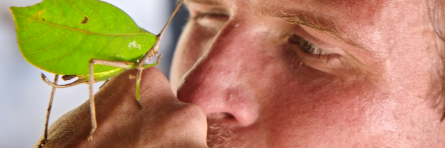 Cover image for post One Thing I know, by JaiVibes