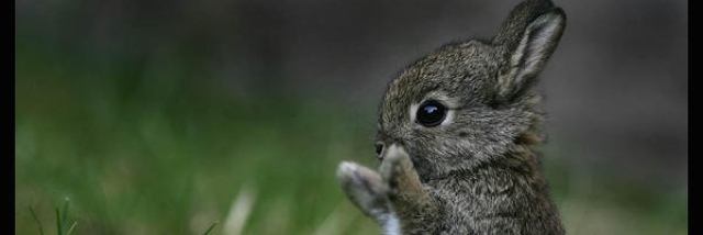 Cover image for post I'm inspired by your honesty and whit, by unspecific