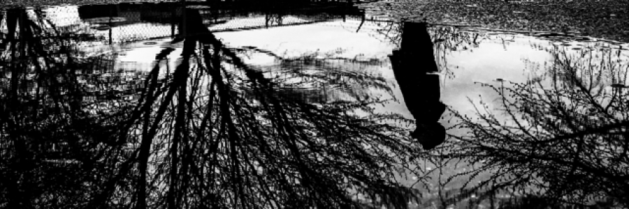 Cover image for post Untitled, by MAdamik